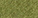 650 Green