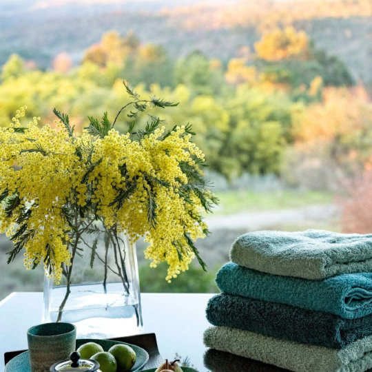 Mit "WTD25" - 15% zum World Towel day!