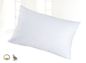 Eiderdown pillow "Baronet" 3 support variants