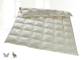 Ganzjahres Eiderdaunenbettdecke mit Seide, "Fischbacher Queen Silk medium"