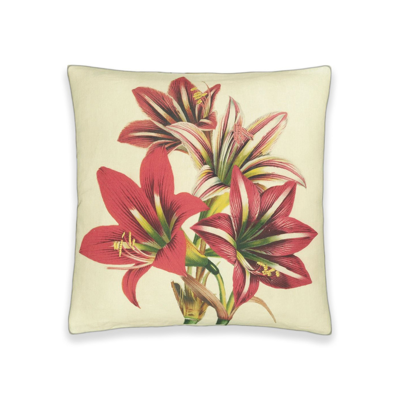 Leinenkissen Bestickt John Derian Amaryllis Carmine 50 X 50 Cm