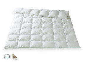 All-season eiderdown comforter, "Fischbacher Queen medium"