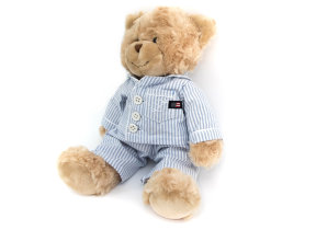 Lexington teddy bear in pink or light blue