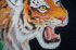 Schurwollplaid mit Samt "Etro Montreuil", Detail