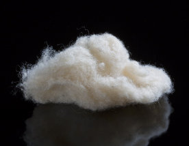 Virgin wool