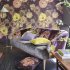 Designers Guild "Fitzrovia Bourlet", Mood
