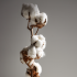 Celso de Lemos Quality - Egyptian extra long staple cotton 