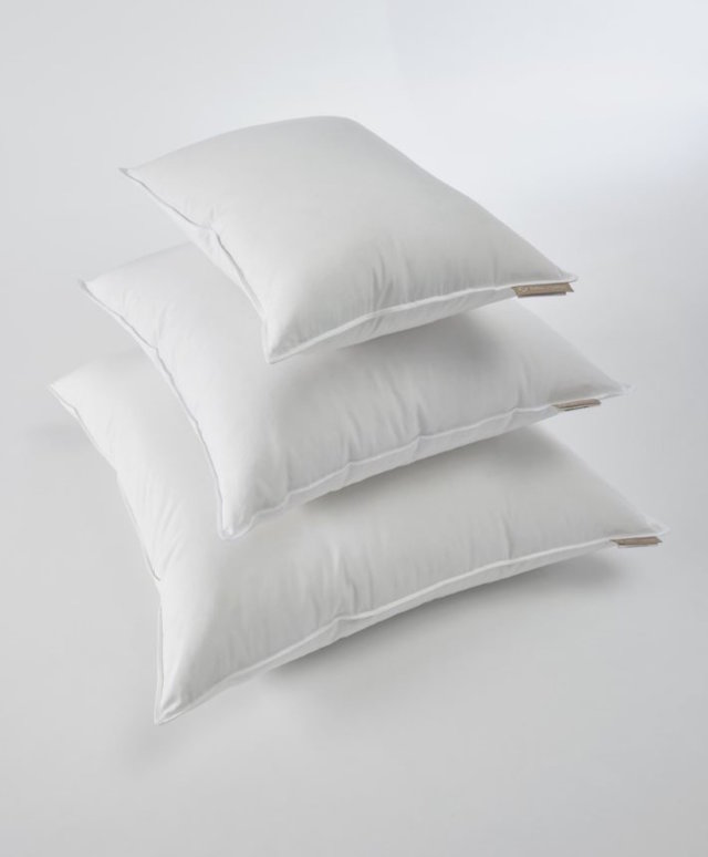 EInkammer pillow "Celso de Lemos Molissima"