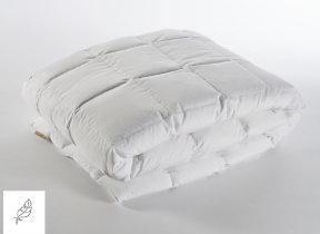 Luxurious all-year down comforter "Celso de Lemos Anser"